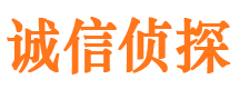 修武调查公司